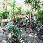 Ionian Paradise Апартаменты *