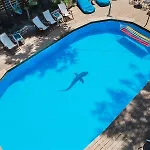 Ionian Paradise * نيدري