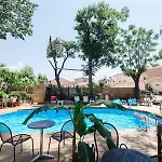 Ionian Paradise نيدري
