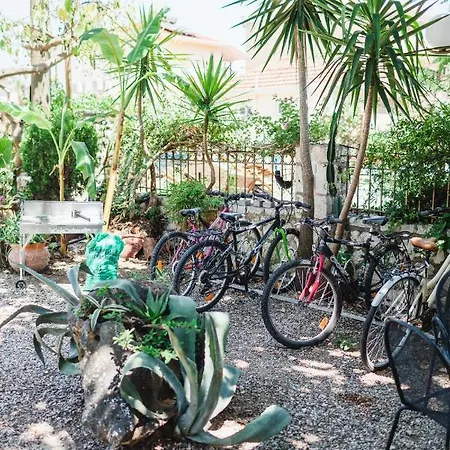 Ionian Paradise Daire *