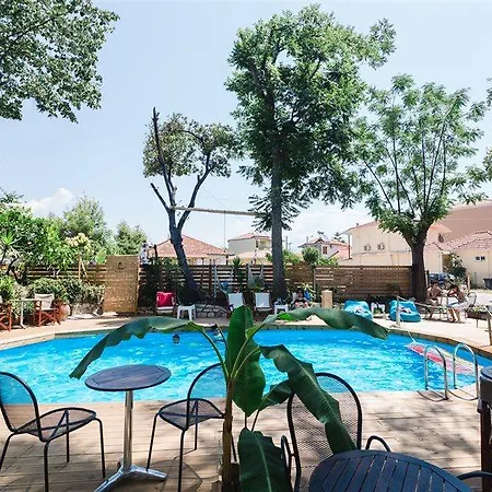 Ionian Paradise ニドリ